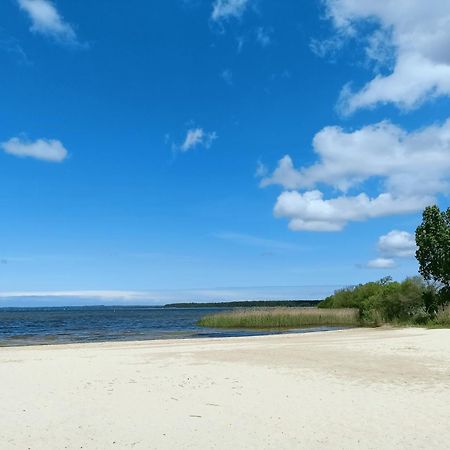 Cottage en bois cosy avec plage lac à 600m, entre océan et Dune du Pilat sur propriété privée Sanguinet Extérieur photo