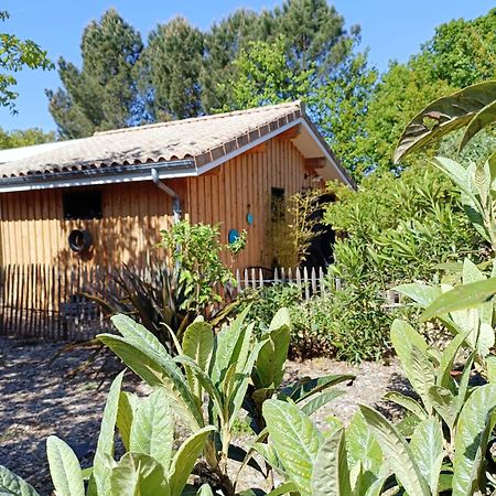 Cottage en bois cosy avec plage lac à 600m, entre océan et Dune du Pilat sur propriété privée Sanguinet Extérieur photo