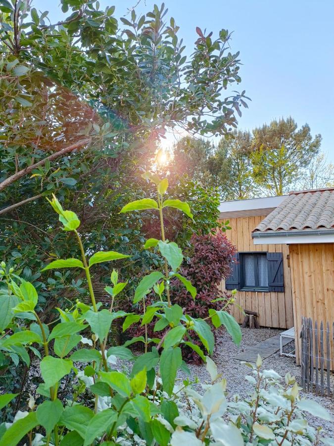 Cottage en bois cosy avec plage lac à 600m, entre océan et Dune du Pilat sur propriété privée Sanguinet Extérieur photo