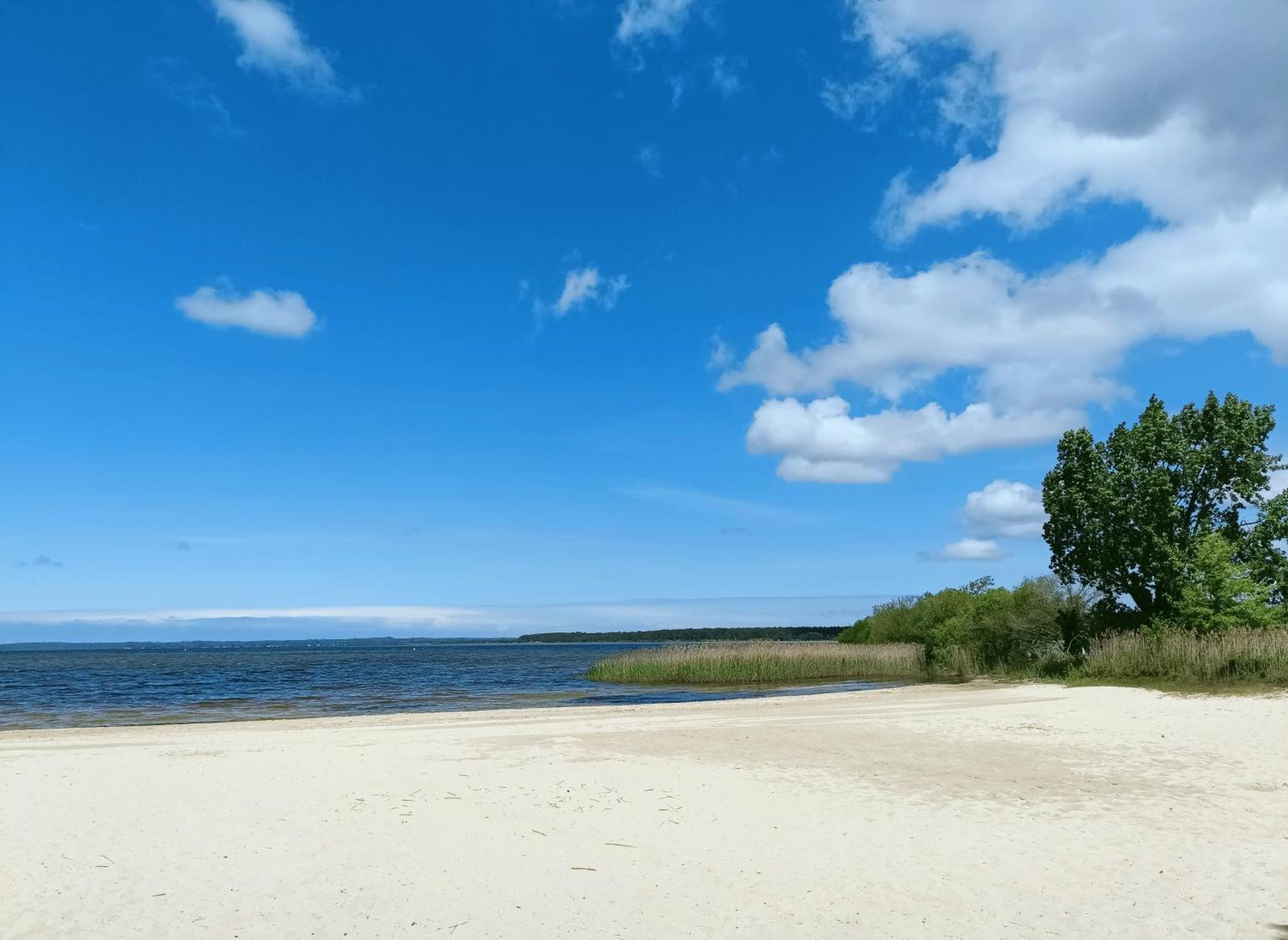 Cottage en bois cosy avec plage lac à 600m, entre océan et Dune du Pilat sur propriété privée Sanguinet Extérieur photo