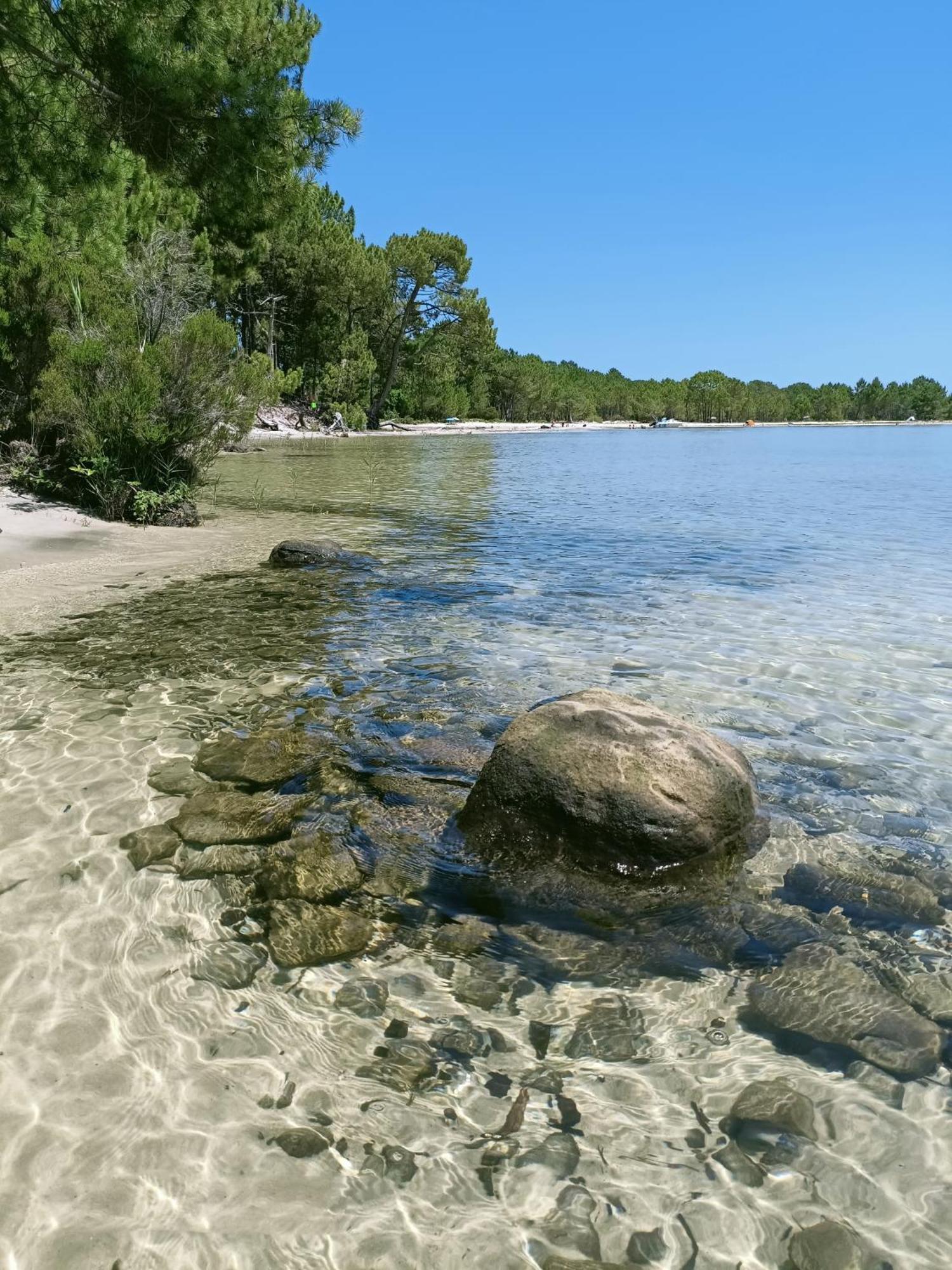 Cottage en bois cosy avec plage lac à 600m, entre océan et Dune du Pilat sur propriété privée Sanguinet Extérieur photo