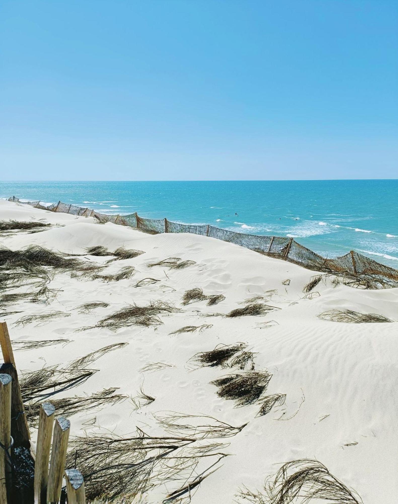 Cottage en bois cosy avec plage lac à 600m, entre océan et Dune du Pilat sur propriété privée Sanguinet Extérieur photo