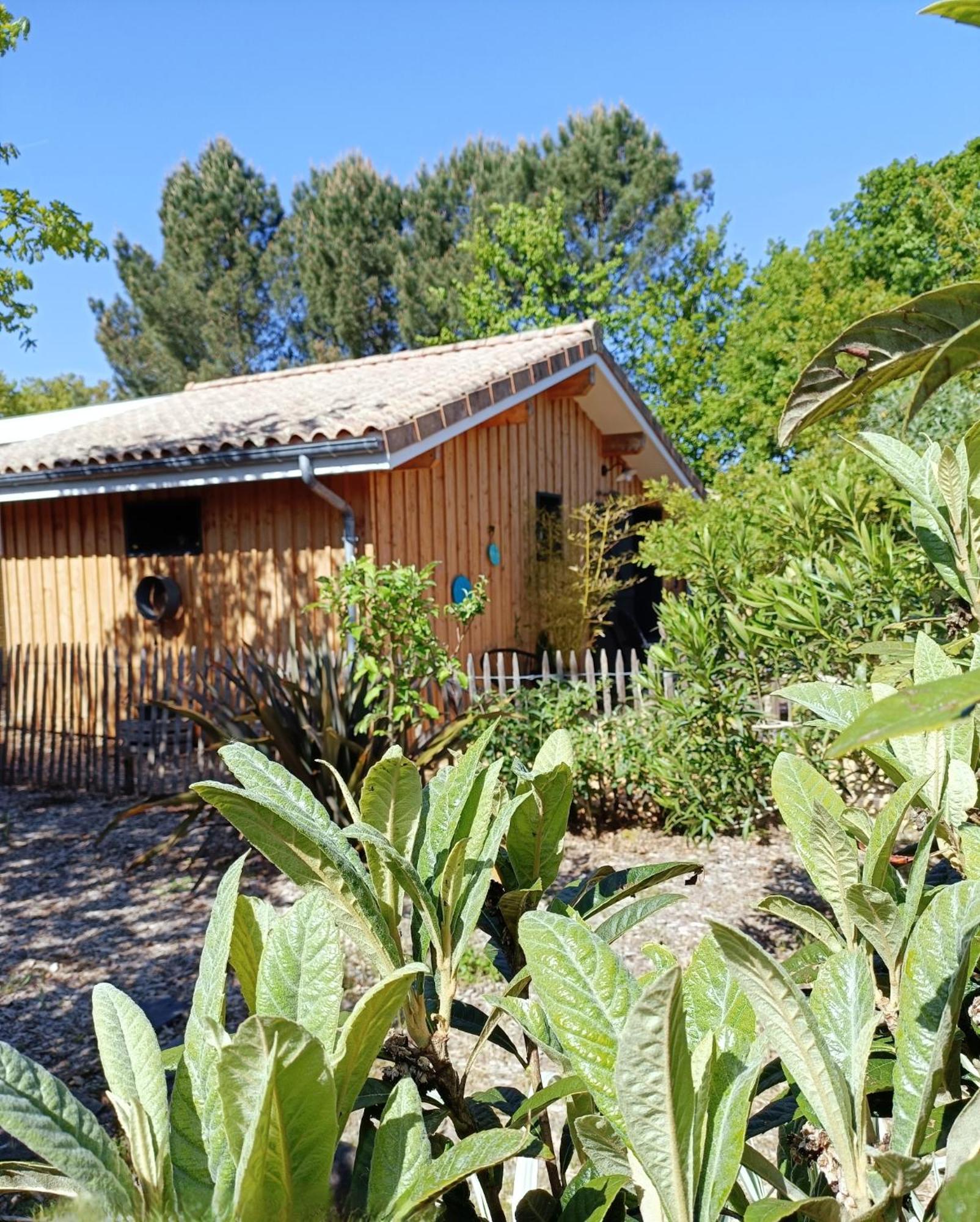 Cottage en bois cosy avec plage lac à 600m, entre océan et Dune du Pilat sur propriété privée Sanguinet Extérieur photo